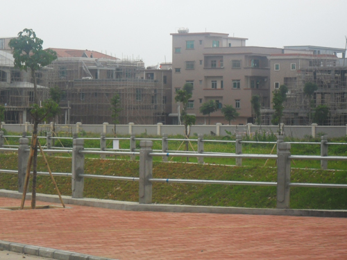 横沥某村绿化工程